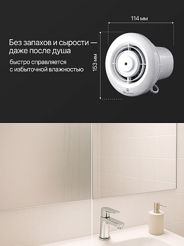 D05-W10 Вентилятор вытяжной с оборотным клапаном (Китай)